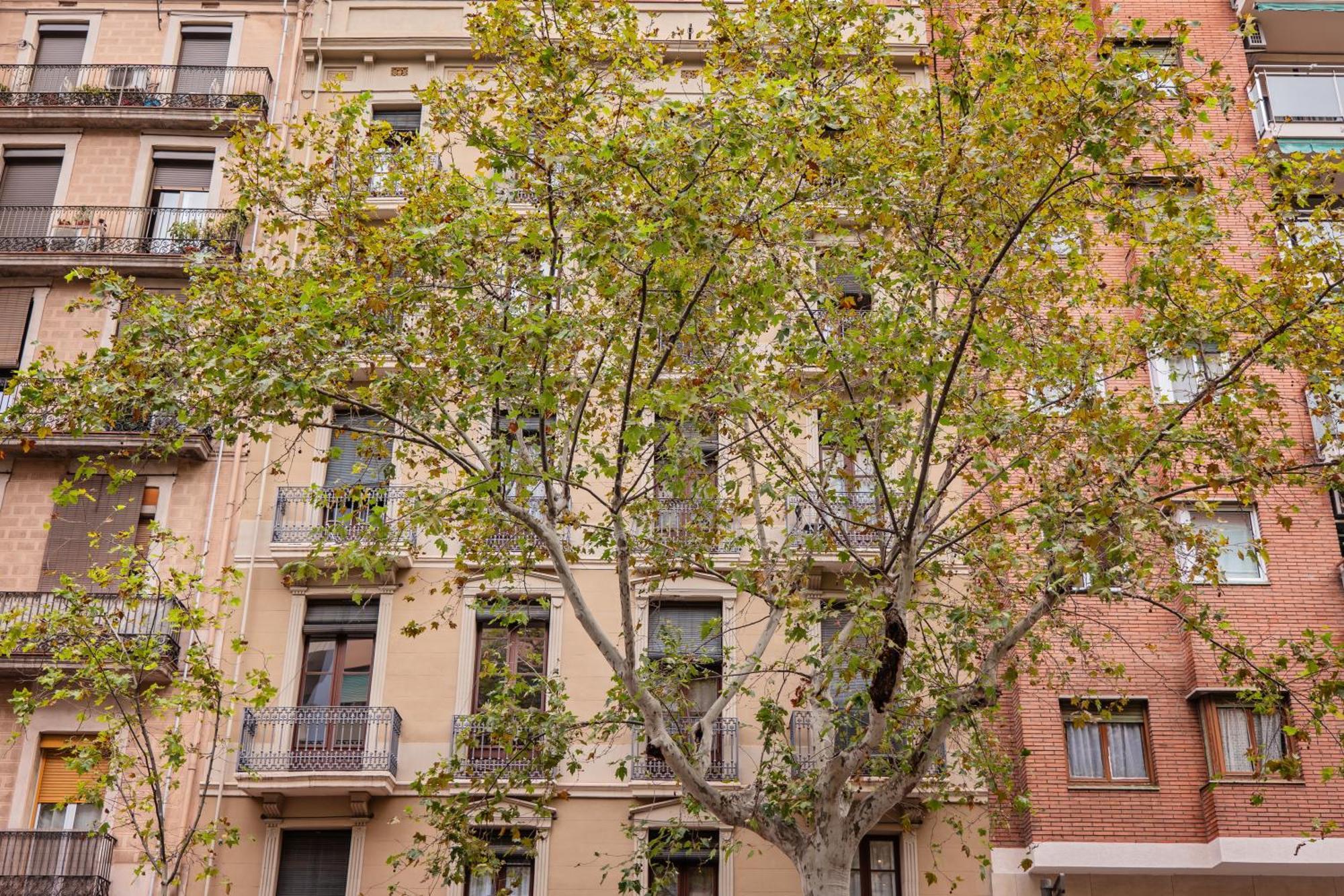 Sweett - Urgell Eixample * Barcellona